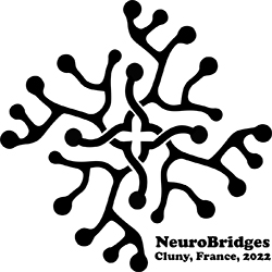 Logo neurobridges 2022