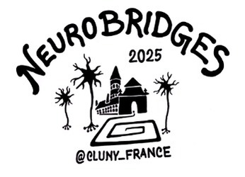 Logo neurobridges 2025